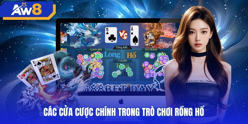 Cấu trúc ba cửa cược chính của bàn rồng hổ
