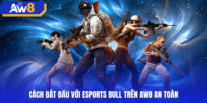 Quy trình tiếp cận an toàn cùng bảng tỷ lệ esports bull