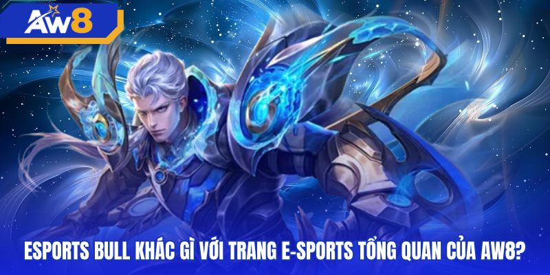 So sánh chi tiết danh mục tổng quan và sảnh esports bull