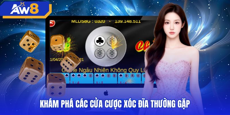 Phân loại các nhóm cửa cược xóc đĩa trên bảng điện tử